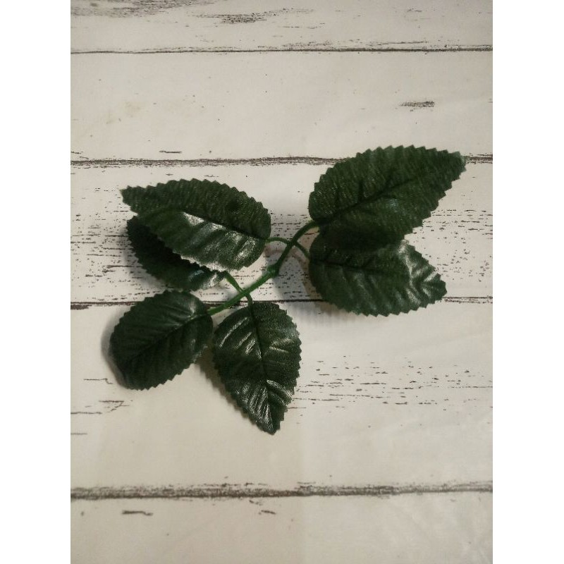 Jual Daun Mawar Satuan | Shopee Indonesia