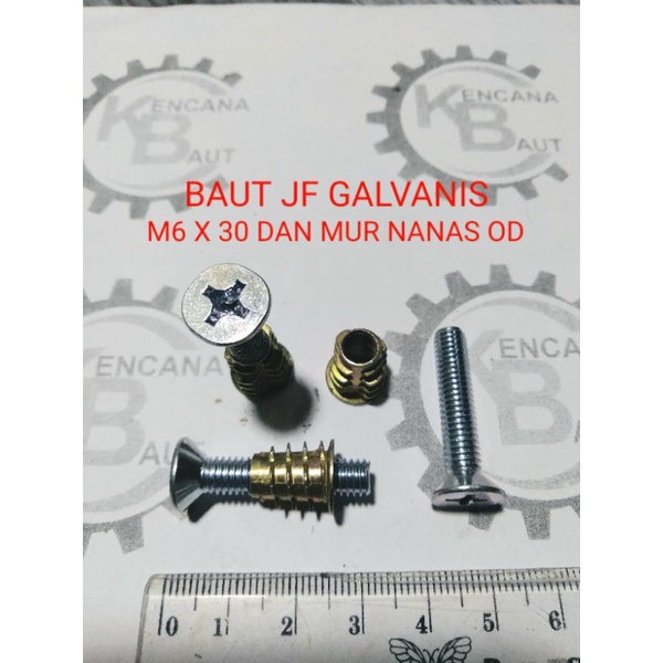 Jual BAUT JF M6 X 30 MM GALVANIS DAN MUR NANAS OD BAUT MEBEL DIPAN