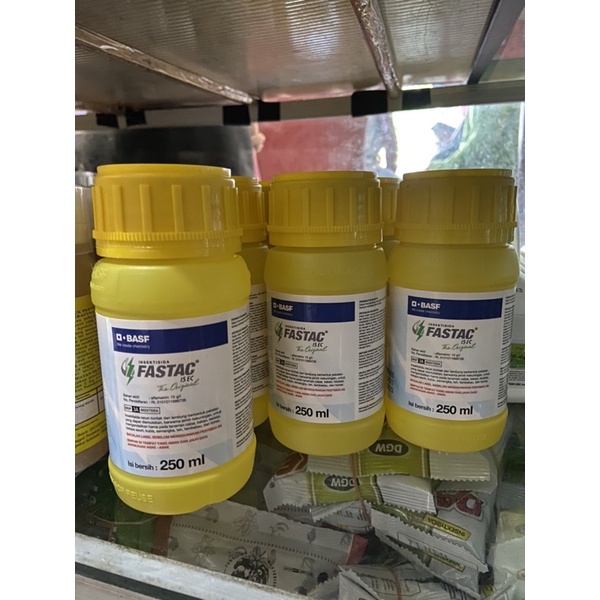 Jual insektisida fastac 250ml alfametrin 15gl obat belalang basf ...