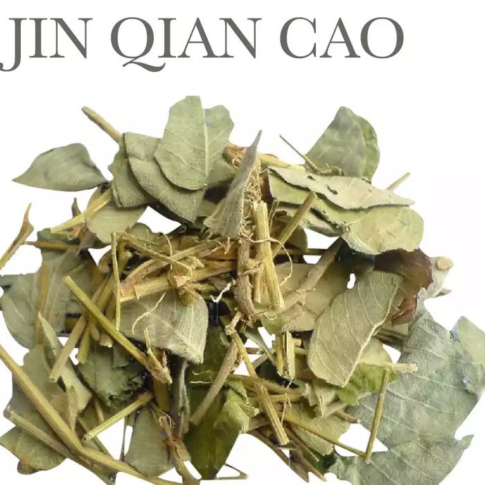 [600gram]  Jin Qian Cao / Lysimachia -  Herba Desmodii Styrachifolii