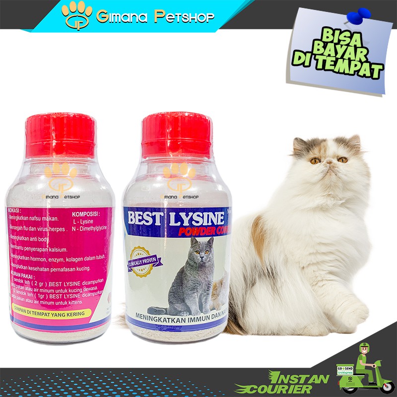 Jual Vitamin Kucing Penambah Nafsu Makan Dan Antibody BEST LYSINE 50gr ...