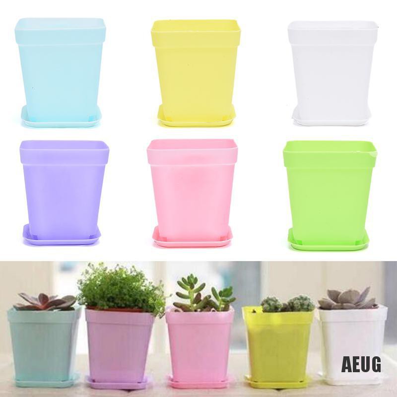 Jual Pot Kotak Mini Kecil Tanaman Bunga Sukulen Kaktus Mini Lucu