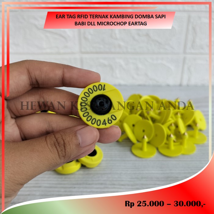 Jual Ear Tag RFID Ternak Kambing Domba Sapi Babi dll Microchip Eartag ...