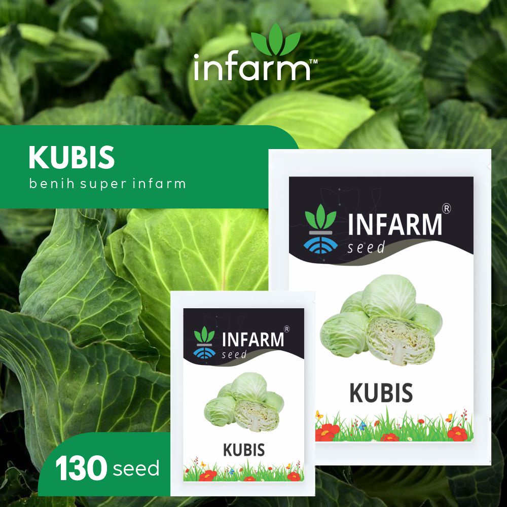 Jual Infarm Benih Bibit Biji Super Kubis Kol Kubis Bulat Shopee