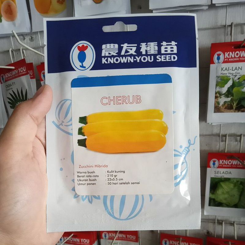 Jual Benih Zucchini Kuning Cherub F1 Isi 20gr | Shopee Indonesia