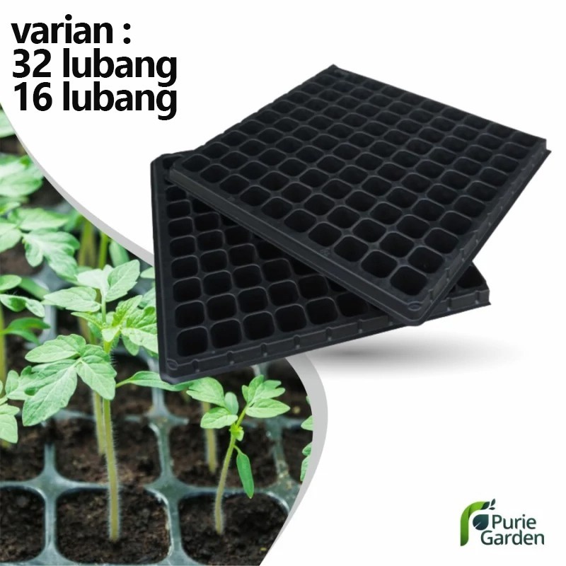 Jual Tray Semai Pot Tray Penyemaian Bibit Tanaman 32 & 16 Lubang PG SBY ...