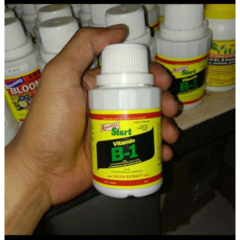 Jual Pupuk Vitamin B1 Liquinox 100 Ml | Shopee Indonesia