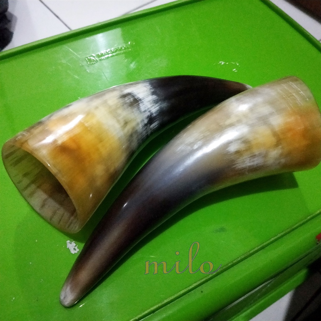 Jual Alat terapi kop bekam tanduk Sapi Bule asli | Shopee Indonesia