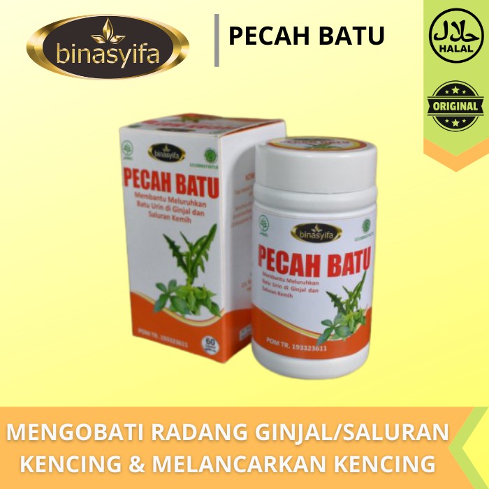 Jual PECAH BATU Obat Ginjal Infeksi Saluran Kencing Mengatasi Batu Gi ...