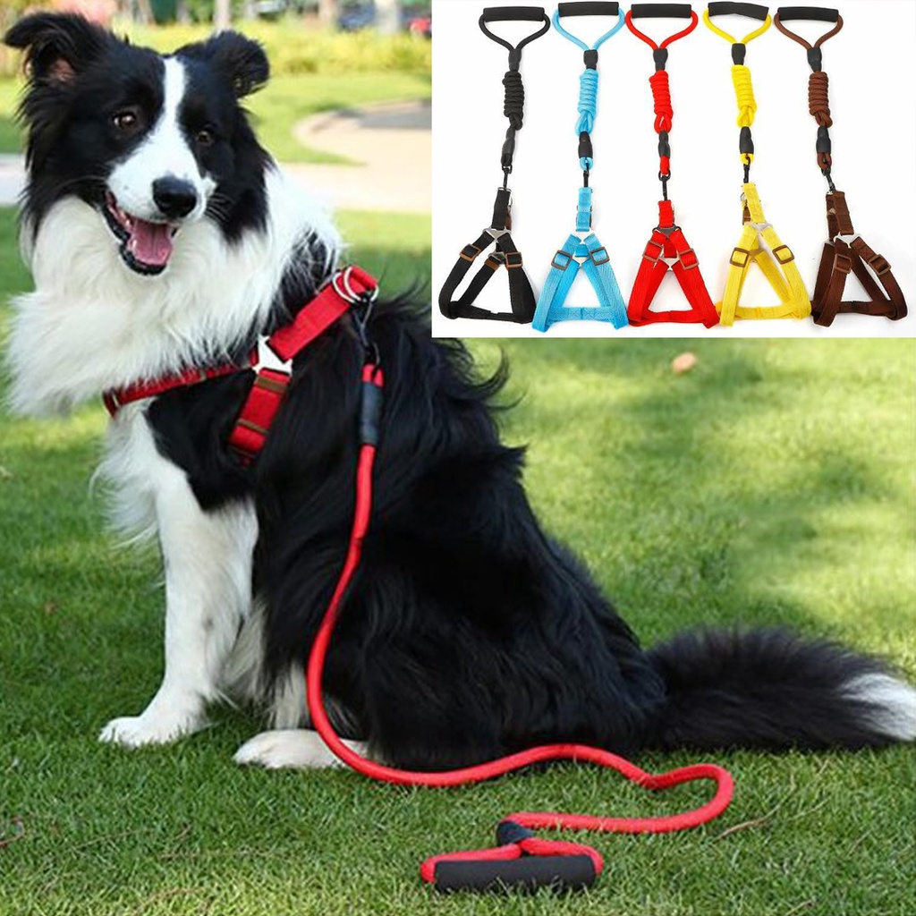 Pet Harness and Leash Dog Cat Tali Tuntun Anjing Kucing Tambang Polos