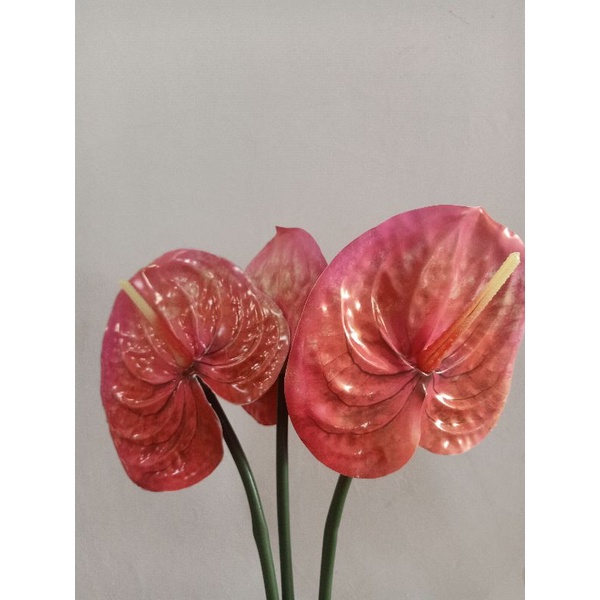 Jual 80CM BIG ANTHURIUM LATEX Bunga Artificial Artificial Latex ...