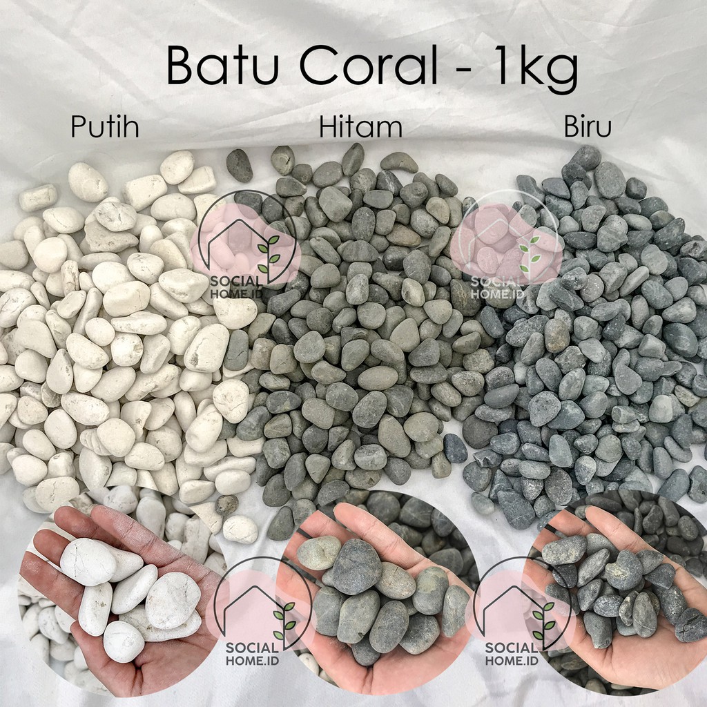 Jual Batu Koral Coral Putih Hitam Biru Batu Hias Tanaman Taman 1kg Shopee Indonesia 