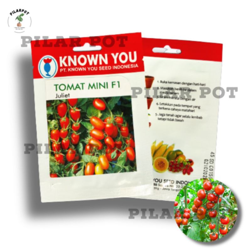 Jual Benih Bibit Tomat Mini F Juliet Known You Seed Kys Tomat F
