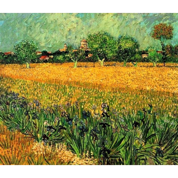 Jual Repro Digital Lukisan Van Gogh Irises Arles Pelukis Painter Dunia