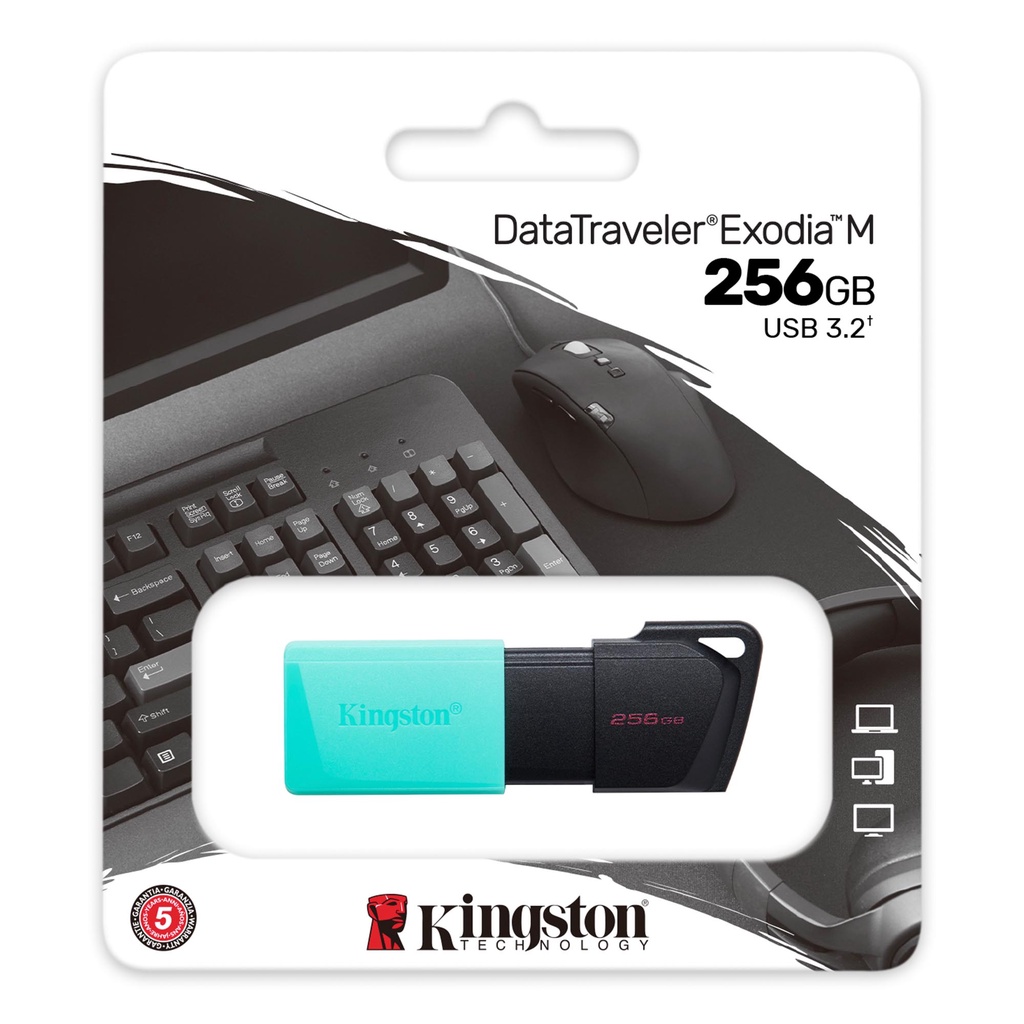 Kingston USB 3.2 DataTraveler Exodia M 256GB (DTXM/256GB) (8)