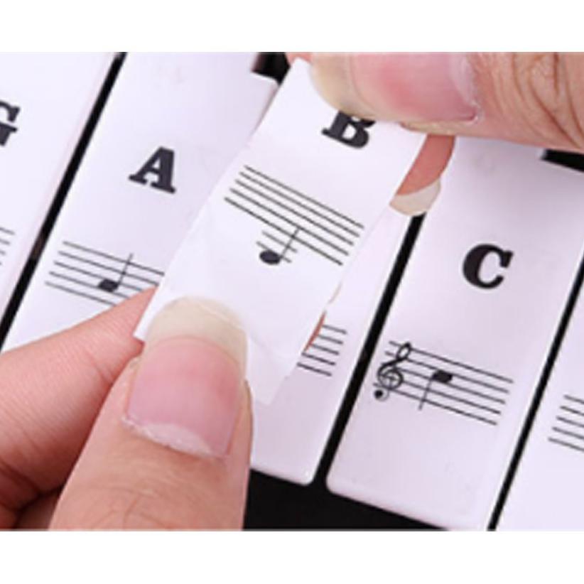 Jual Reusable Piano Key Sticker Keyboard Stickers 37/49/54/61/88 Piano