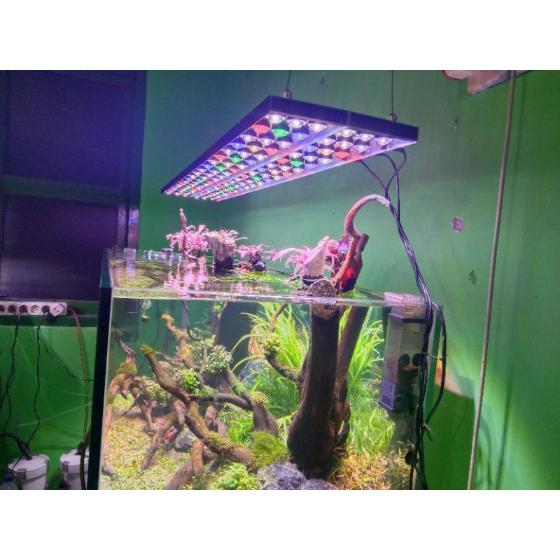 Jual Lampu Led Aquascape Hpl 72 Watt Lensa Mode Gantung 70cm 100cm