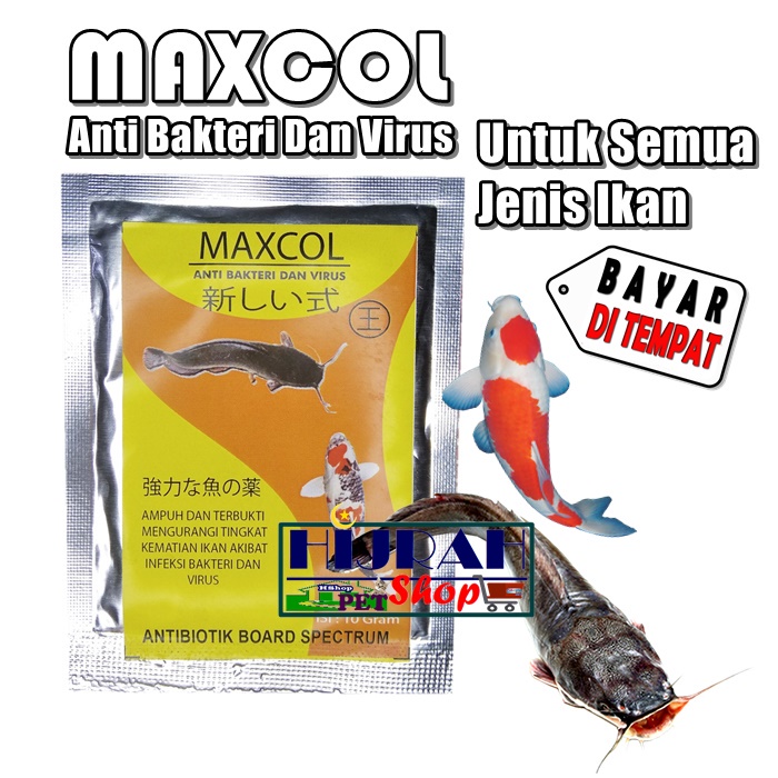 Jual Obat Ikan Antibiotik Ikan Spektrum Luas Obat Anti Bakteri Dan