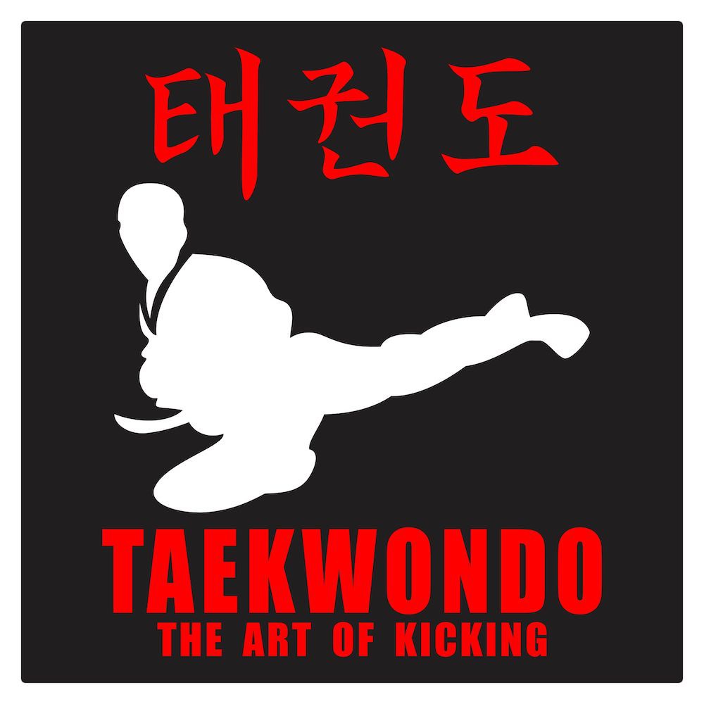 Jual Taekwondo Flying Side Kick Cutting Sticker | Shopee Indonesia