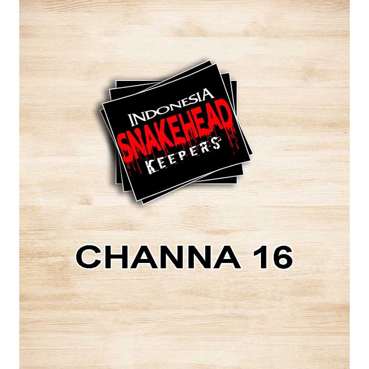 Jual stiker ikan chana sticker channa snake head predator fish maru ...