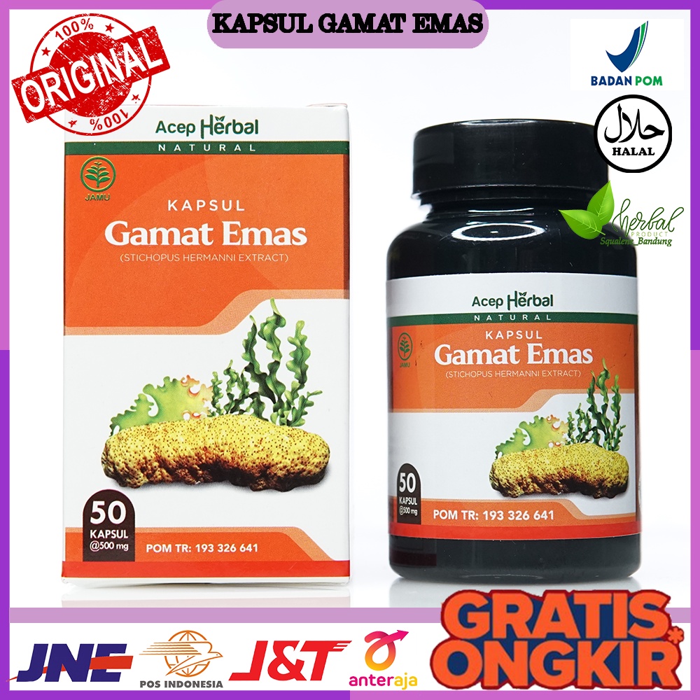 Jual Kapsul Gamat Emas Herbal Original Isi Kapsul Bersertifikat Halal Mui Dikirim Di