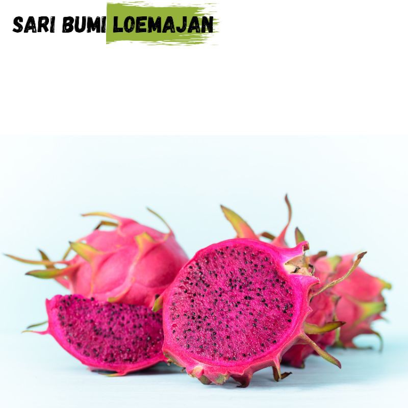 Jual Sari Bumi Loemajan Buah Naga Merah 1kg Shopee Indonesia 