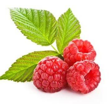 Jual BIBIT TANAMAN BUAH RASPBERRY IMPORT-RASBERRY | Shopee Indonesia