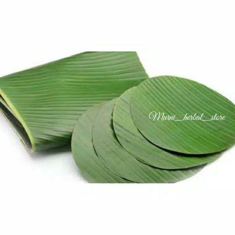 Jual Daun Pisang Sesuai Gambar Shopee Indonesia