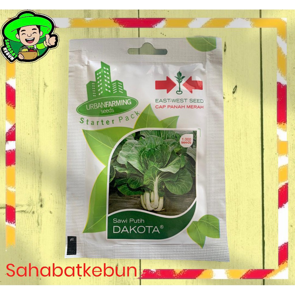 Jual Benih Sawi Hijau Dakota Panah Merah Urban Farming Shopee Indonesia