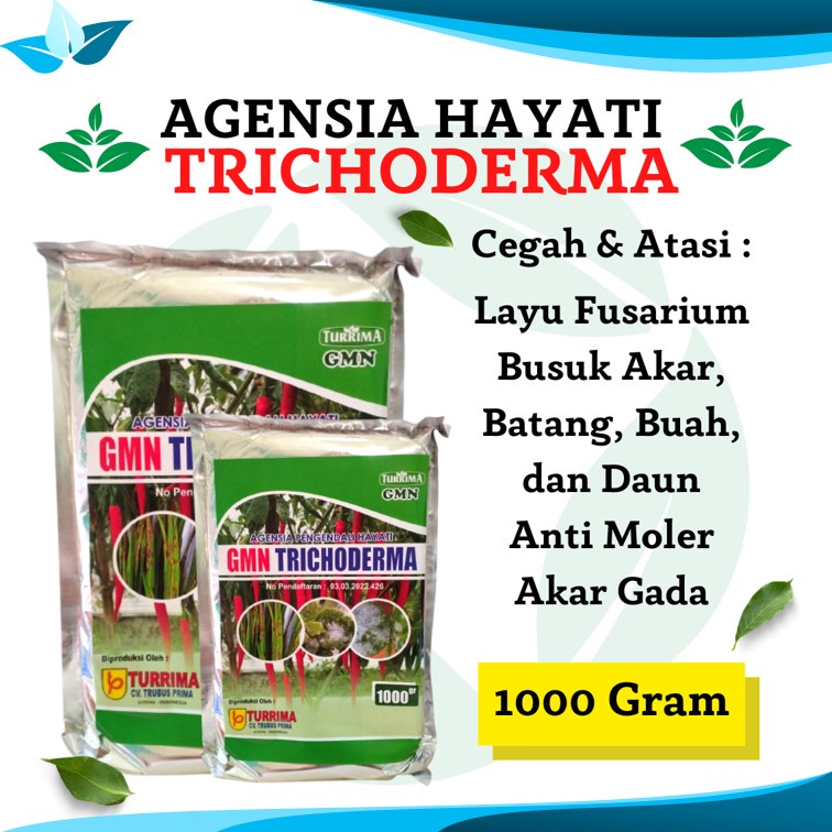 Jual Tricoderma Pengendali Hayati Obat Akar Gada Pada Tanaman Kubis Pupuk Trichoderma 