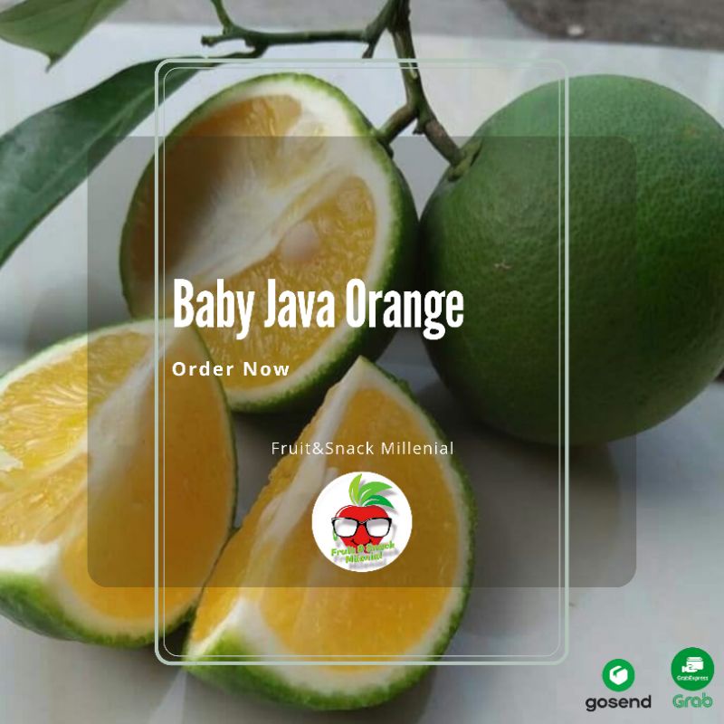 Jual Jeruk Baby Java Fresh 1kg | Shopee Indonesia
