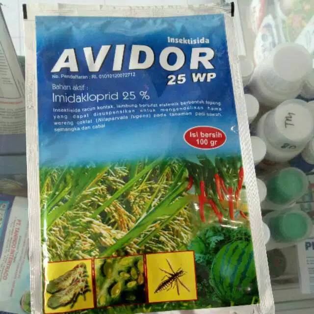 Jual AVIDOR 25 WP Insektisida 100 gr | Shopee Indonesia