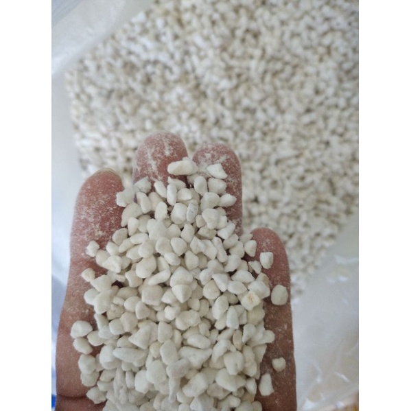 Jual MEDIA TANAM STERIL PERLITE VERMICULITE GOLD AGROPERLITE 1-6 MM 100 ...