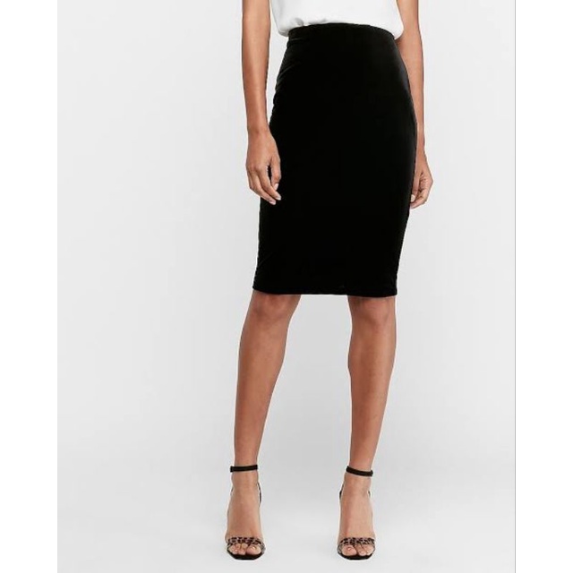 Express shop velvet skirt