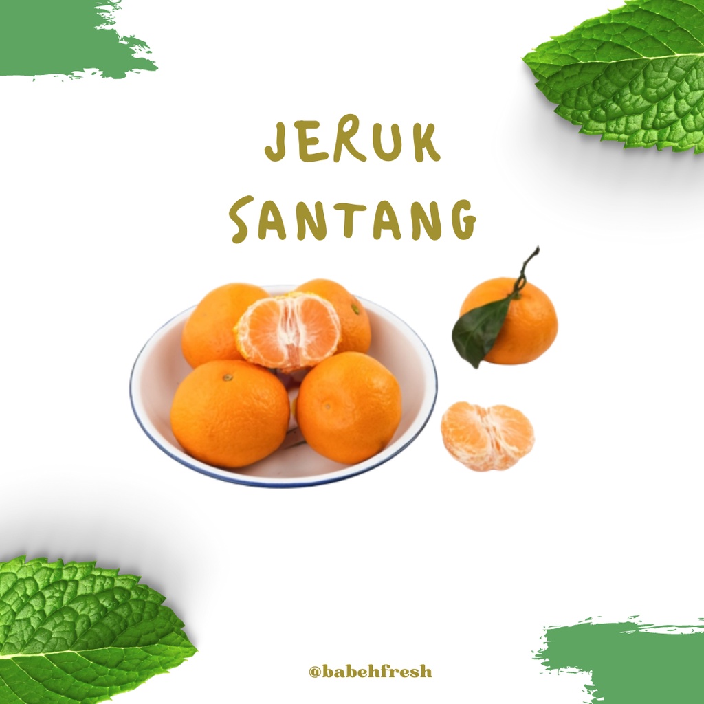 Jual Jeruk Shantang Manis Tanpa Biji 500 Gr Shopee Indonesia