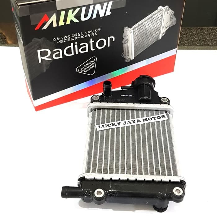 Jual Radiator Vario 110 Old Pnp Cbs Techno 110 Va2334 | Shopee Indonesia