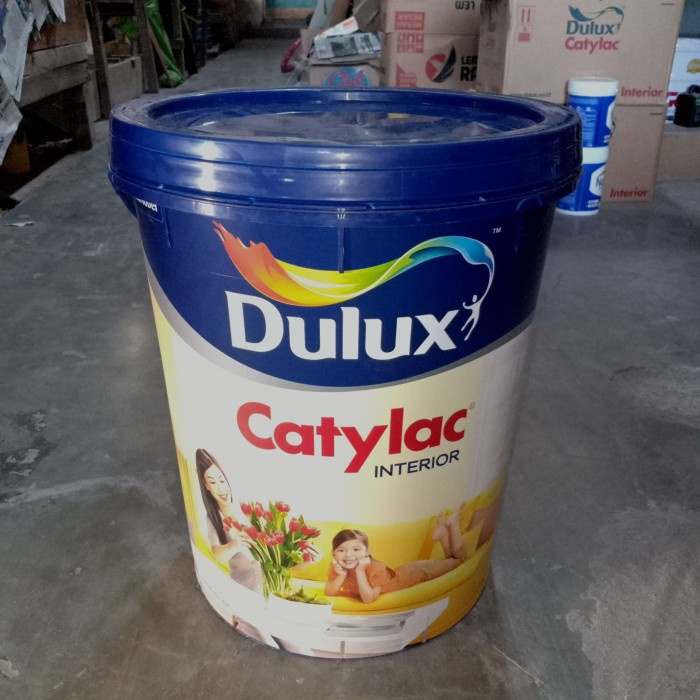 Jual Dulux Catylac Cat Tembok Interior 25 Kg Shopee Indonesia 3851