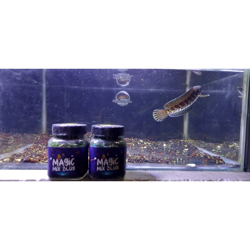 Jual Magic Mix Blue Bang Fish X Fajar Arief (Pakan Channa) | Shopee ...