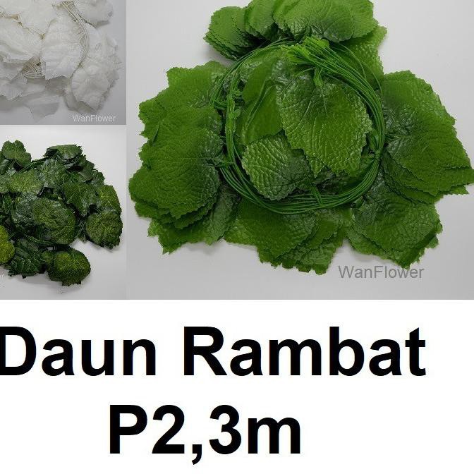Jual Langsung Kirim WANFlower Daun Anggur Rambat P2,3M Daun20-36 * ALL ...