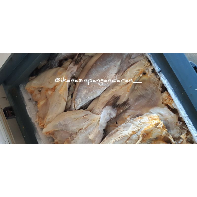 Jual Ikan Asin Jambal Roti Super ( Tanpa Tulang & Kepala) Pangandaran ...