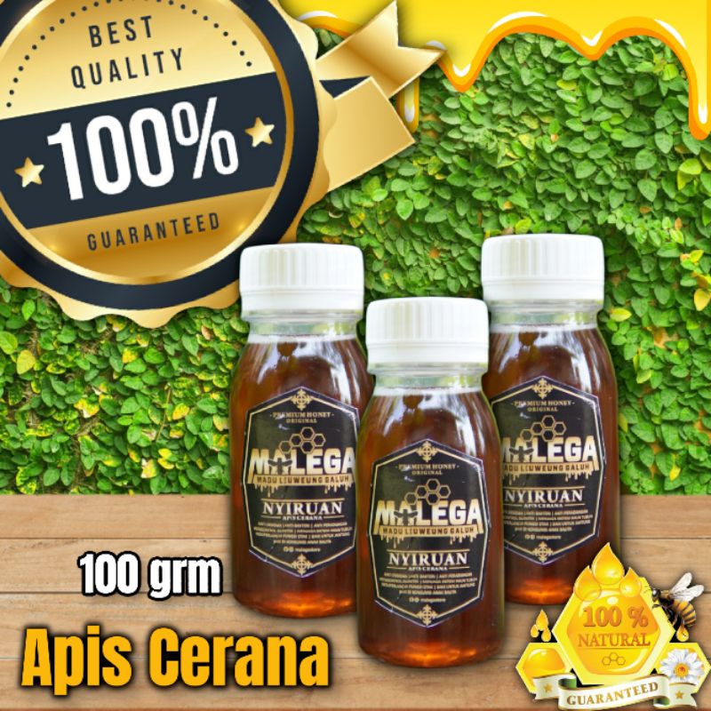 Jual Madu Hutan Liar Asli Murni 100℅ Mentah Fresh Original Lebah Apis