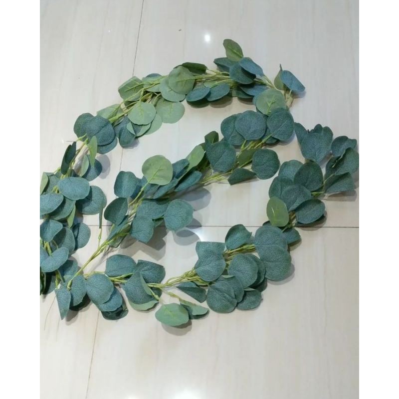 Jual Daun Eucalyptus Premium 2meter Shopee Indonesia