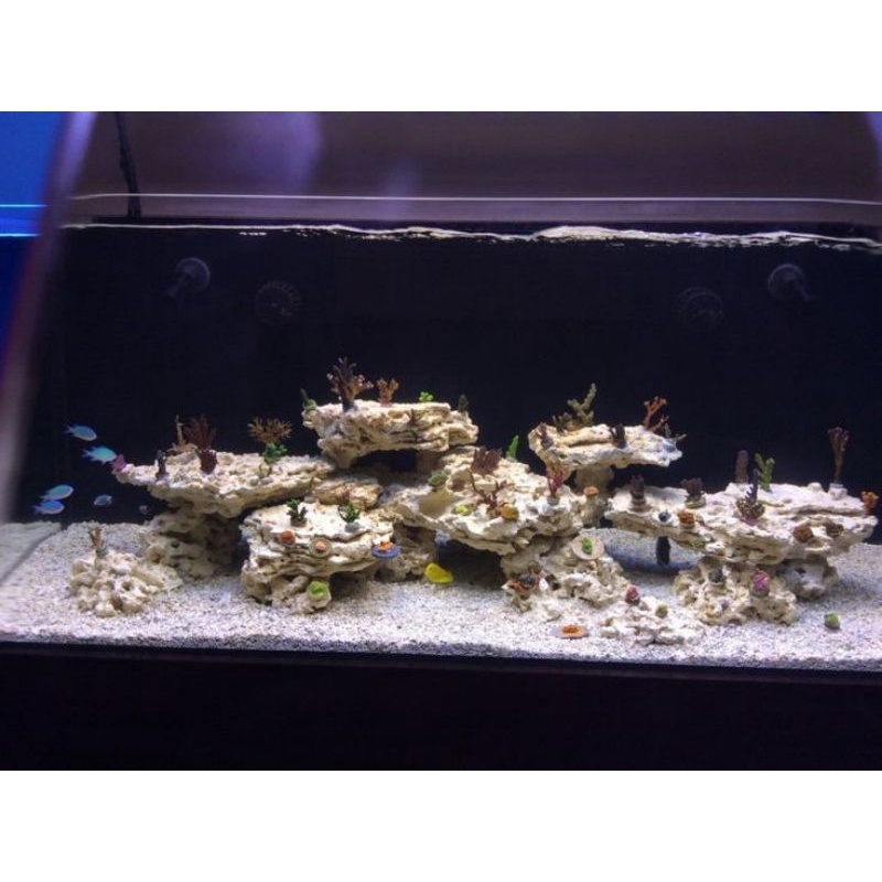 Jual Marco Rock Scaping | Shopee Indonesia