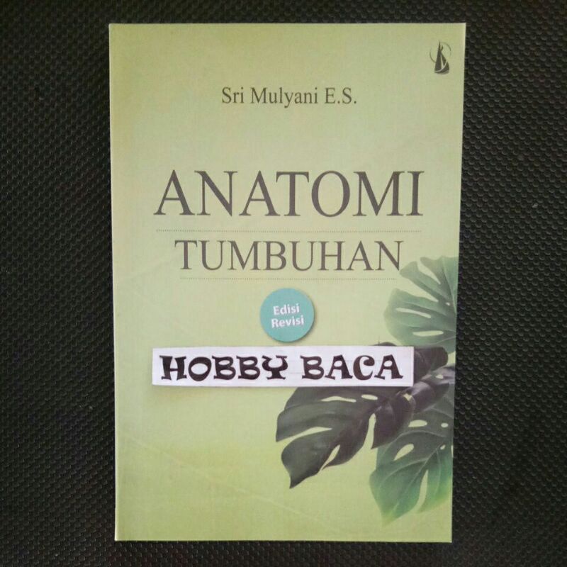 Jual Anatomi Tumbuhan Edisi Revisi - Sri Mulyani | Shopee Indonesia