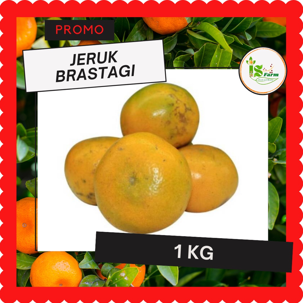 Jual Jeruk Brastagi 1kg Shopee Indonesia