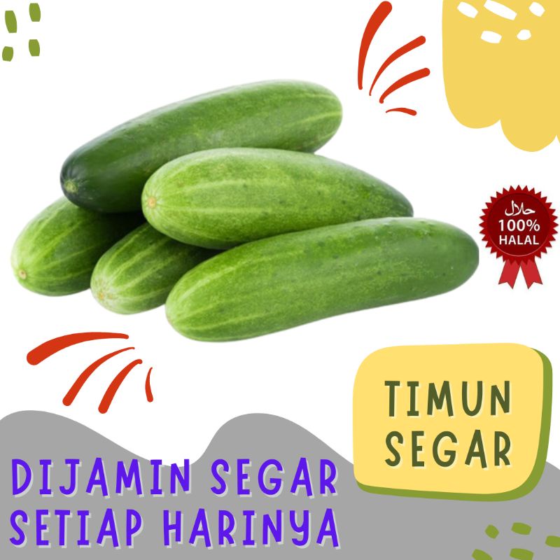 Jual Timun Segar 1000gr / 1kg | Shopee Indonesia