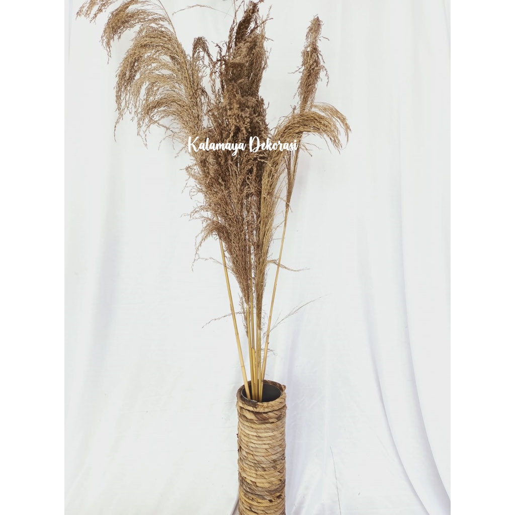 Jual Paket Hemat Lengkap Pampas Bulu Hiasan Vas Buket Bunga Kering