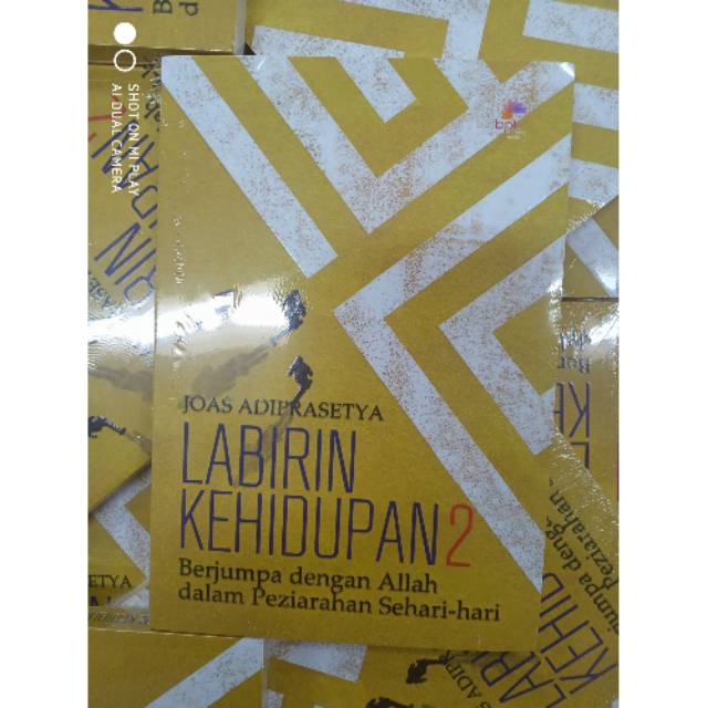 Jual Buku Labirin Kehidupan 2 Berjumpa Dengan Allah Dalam Peziarahaan