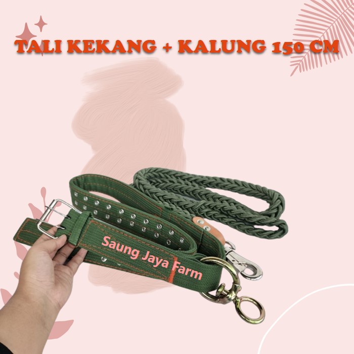 Jual Tali Kekang + Kalung Premium Panjang 150 cm Sapi Jumbo Komplit ...