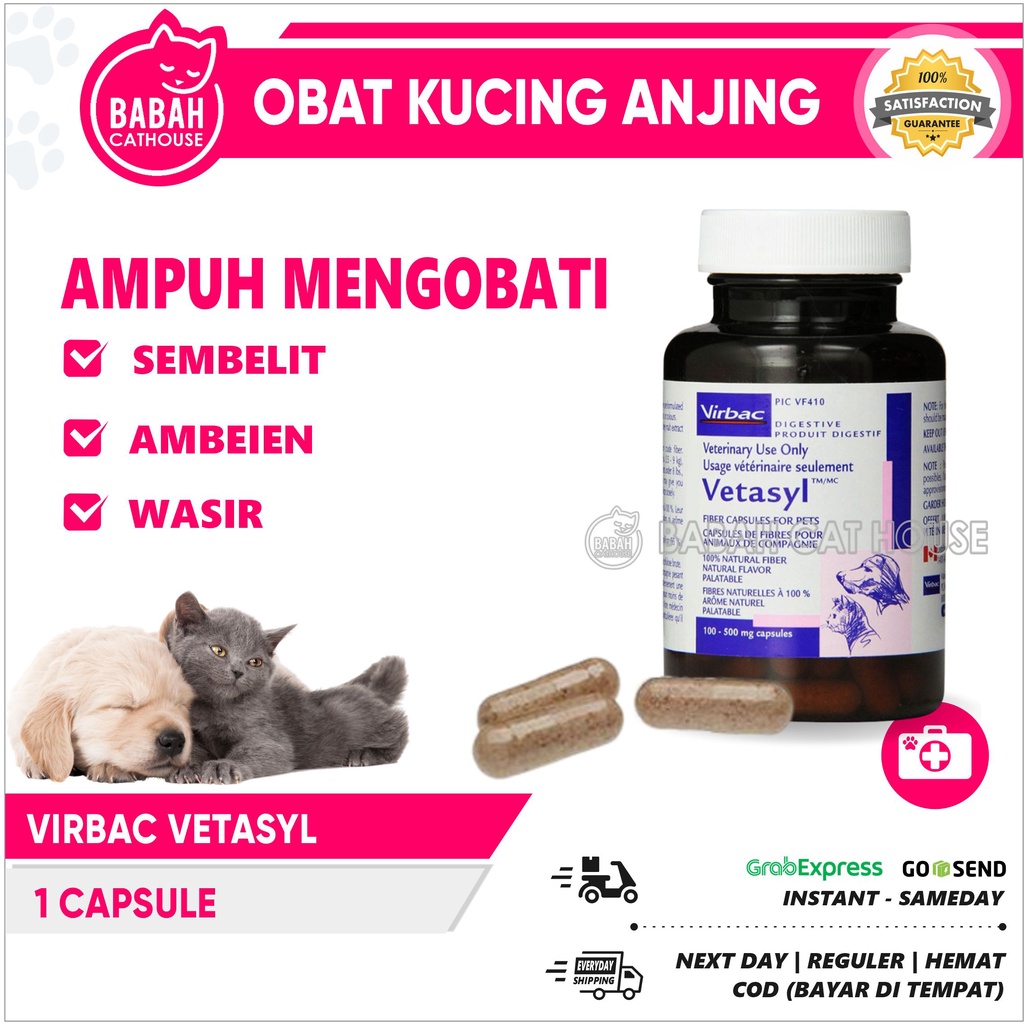 Jual VIRBAC VETASYL Obat Sembelit Kapsul untuk Kucing dan Anjing Sulit